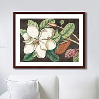 картина: beauty bloom №1, 1732г. в Чите