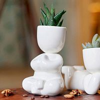 набор для выращивания eco йог в Чите