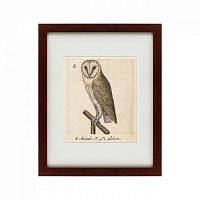 картина: one owl, 1560 в Чите