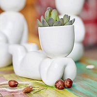 набор для выращивания eco мечтатель в Чите