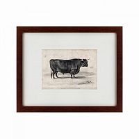 картина: a west highland bull, 1840 в Чите