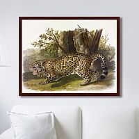 картина: jaguar, 1841г. в Чите