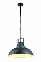 подвесной светильник arte lamp martin a5213sp-1bg в Чите