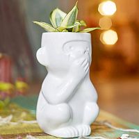 горшок для растений eco молчун в Чите