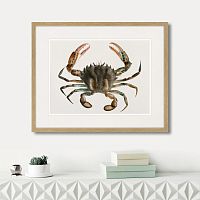 картина: marine life №2, 1725г. в Чите