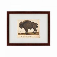 картина: bison, 1560 в Чите