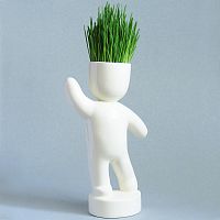набор для выращивания eco победитель в Чите
