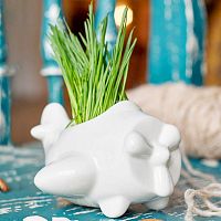 набор для выращивания eco самолет в Чите