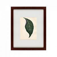 картина: the leaf, 1871 в Чите