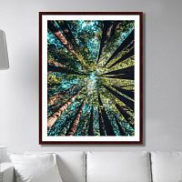 картина: deep forest в Чите