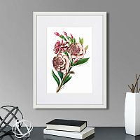 картина: caribian flora pink gardenia flower branch, 1740г. в Чите