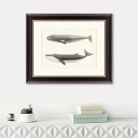 картина: the california gray whale (rhachieanectes claucus), 1857 в Чите