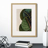 картина: exotic plants of the world №7, 1815г. в Чите