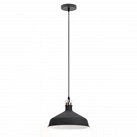 подвесной светильник эра loft pl2 bk/rc в Чите