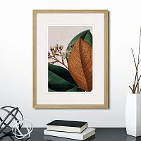 картина: exotic plants of the world №14, 1815г. в Чите