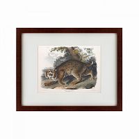 картина: bobcat, 1839 в Чите