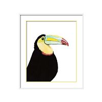 постер toucan разноцветный в Чите