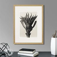 картина: botanical philosophy of forms №8, 1912г. в Чите