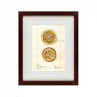 картина: watercolor collection, drawing №5, 1910 в Чите