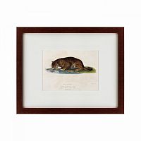картина: a panther drinking, 1830 в Чите