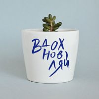 набор для выращивания eco мини-кашпо «вдохновляй» в Чите