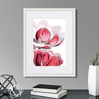 картина: himalaya plants pink-flower on white iii, 1869г. в Чите