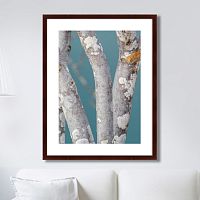 картина: trees on the galapagos islands, ecuador no1 в Чите