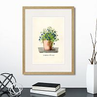 картина: botany illustration №9, 1836г. в Чите