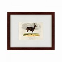 картина: a roebuck, 1830 в Чите