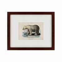 картина: white polar bear on an ice, 1830 в Чите
