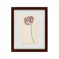 картина: tulp №2, 1815 в Чите