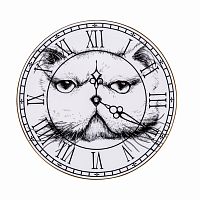 тарелка кот на циферблате в Чите