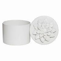 шкатулка для украшений white ii - н* в Чите