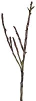 декор dry branches в Чите