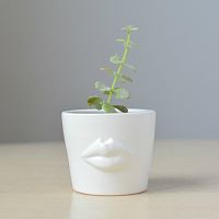 набор для выращивания eco мини-кашпо «губы» в Чите