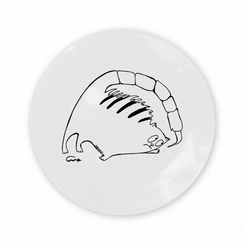 тарелка кот-скорпион в Чите