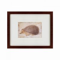картина: a hedgehog, 1584 в Чите