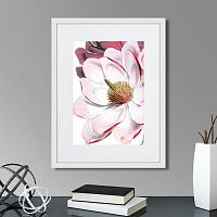 картина: himalaya plants pink-flower on white ii, 1869г. в Чите