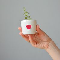набор для выращивания eco мини-кашпо «сердце» в Чите