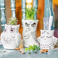 горшки для растений eco совы, 3 шт в Чите