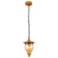 подвесной светильник arte lamp catena a6711sp-1br в Чите