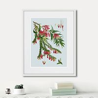 картина: himalaya plants red flower branch, 1869г. в Чите