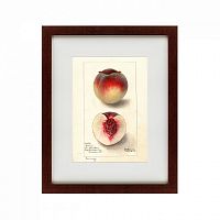 картина: watercolor collection, drawing №4, 1905 в Чите