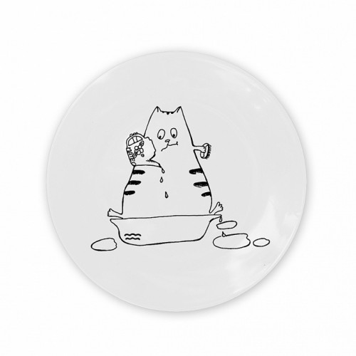 тарелка кот-водолей в Чите