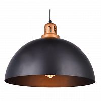 подвесной светильник arte lamp eurica a4249sp-1bk в Чите