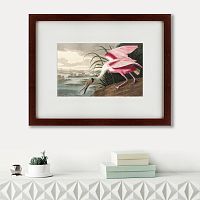картина: roseate spoonbill, 1827 в Чите