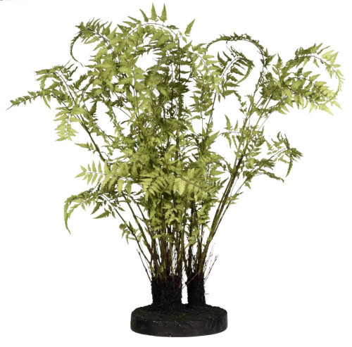 декор ferns в Чите