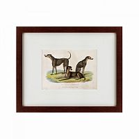 картина: three african bloodhounds, 1830 в Чите