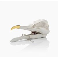шкатулка для украшений bird skull (белый) в Чите
