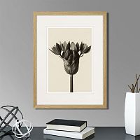 картина: botanical philosophy of forms №5, 1912г. в Чите